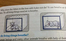 Sách giáo khoa Ấn Độ gây phẫn nộ vì thí nghiệm giết mèo