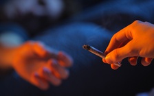 Bắt giữ cặp vợ chồng Mỹ khen thưởng con bằng… cần sa