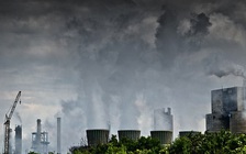 Ô nhiễm không khí dù ít cũng sẽ ‘tàn phá’ thận