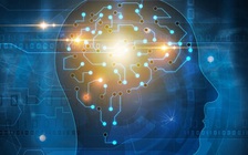 Người thông minh hơn sẽ dễ mắc bệnh tâm thần hơn?