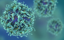 Mẹ hóa trị, con gái có ít con hơn người khác?