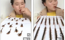 Cô gái trẻ gây sốc vì sở thích ăn bò cạp và rết