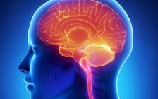 Cậu bé bị hỏng vùng não thị giác nhưng vẫn nhìn rõ