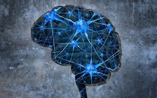 Ăn kiêng có thể giúp bạn thông minh hơn?