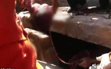 Cô gái sinh con ở toilet rồi bỏ đi vì tưởng là... đau dạ dày