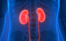 Cậu bé suýt chết vì ngồi xổm liên tục 3 ngày