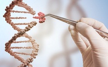 Cuộc sống kinh hoàng của cậu bé không có hệ miễn dịch