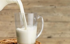 Uống sữa giàu protein vào bữa sáng giúp kiểm soát đường huyết