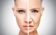 Phát hiện mới về chống lão hóa tốt nhất cho con người