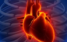 5 sự thật khiến bạn ngạc nhiên về cơ thể người