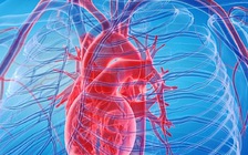 Bé gái sống sót kỳ diệu sau ca ghép tim trước sinh nhật 1 tuổi