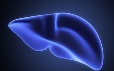 Phương pháp mới giúp lưu trữ gan hiến lâu gấp 3 lần