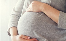 Đẻ một lèo 10 cậu con trai trong 15 năm