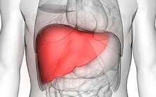 Vì sao người ốm vẫn có thể bị tiểu đường?