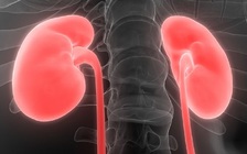 Cô giáo tình nguyện hiến thận cứu mạng phụ huynh