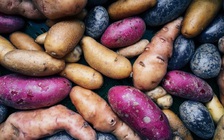 Phòng dịch COVID-19: Những thực phẩm nào vừa bổ dưỡng vừa để được lâu?