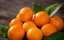 Cách ly xã hội: Mắc bệnh vặt vào mùa dịch, phải làm thế nào?