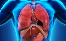 Cậu bé 10 tuổi qua đời, hiến tạng cứu được 7 người