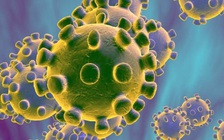 Anh phát hiện virus Corona có 3 chủng khác nhau gây bệnh Covid-19