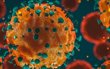 Khoa học giải thích vì sao khỏi Covid-19 rồi, sau đó xét nghiệm lại dương tính