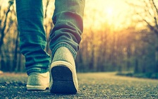 Cãi nhau với vợ, ông chồng bỏ nhà đi bộ... 450 km để ‘hạ hỏa’