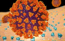 Phát hiện mới về khả năng gây viêm nhiễm của Covid-19