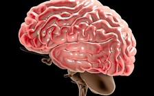 Chuẩn bị mổ để lấy nội tạng do chết não, chàng trai bất ngờ tỉnh dậy