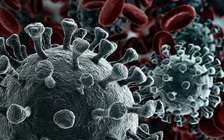 Ấn Độ: Đi ra ngoài 1 lần trong năm, người phụ nữ bất ngờ bị nhiễm Covid-19