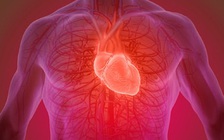 Phát hiện cách tập thể dục 15 phút/ngày cũng đủ tăng sức mạnh tim