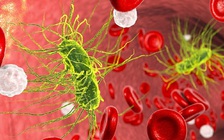 Khám phá mới giúp tiêu diệt siêu vi khuẩn kháng thuốc