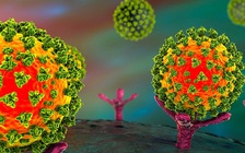 Phát hiện cách mới tiêu diệt SARS-CoV-2