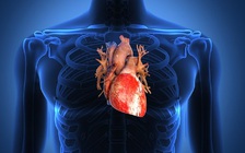 Người cao nhất nước Mỹ qua đời ở tuổi 39