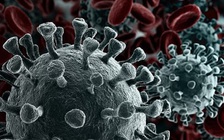 Các biến chủng Covid-19 đang ngày càng phát tán mạnh hơn trong không khí