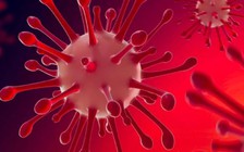 Hồng Kông: Chỉ mở cửa lấy thức ăn và test nhưng vẫn bị lây Omicron?