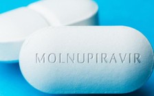 Thuốc viên kháng virus mới hiệu quả với biến thể Omicron