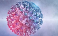 Omicron lây lan thế nào trong không gian ngoài trời?