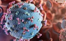 Nghiên cứu của ICL: Virus SARS-CoV-2 có thể lây nhiễm với giọt bắn nhỏ siêu nhỏ