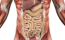 Người phụ nữ có nội tạng nằm ngược nhưng đến 14 năm mới phát hiện