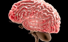 Người đàn ông có dấu hiệu sự sống chỉ vài phút trước khi mổ lấy nội tạng