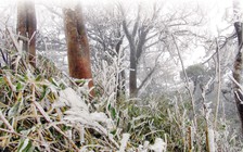 Đặc biệt trên báo in ngày 24.1.2016