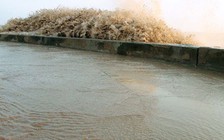 Triều cường 'tấn công' đê kè Gành Hào, đe dọa đời sống người dân