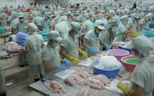 Trên 85% công nhân trở lại Bình Dương làm việc