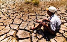 Sai số liệu, ‘bóp’ nhỏ thiệt hại