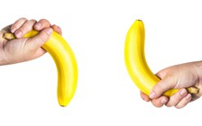 Những điều ít biết về ‘súng’