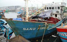 Bất cập từ 'tàu đánh cá 67': Bài học từ thiếu thực tế