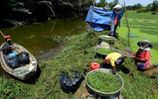 Đặc biệt trên báo in ngày 12.4.2016