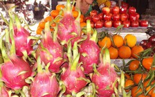 Úc xem xét nhập khẩu thanh long Việt Nam