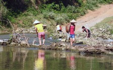 Kiểm tra, làm rõ việc xả thải gây cá chết hàng loạt trên sông Bưởi