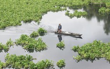 Ô nhiễm đảo lộn cuộc sống ven sông Vàm Cỏ Đông