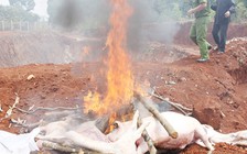 Đồng Nai cần quan tâm hơn đến môi trường và an toàn thực phẩm